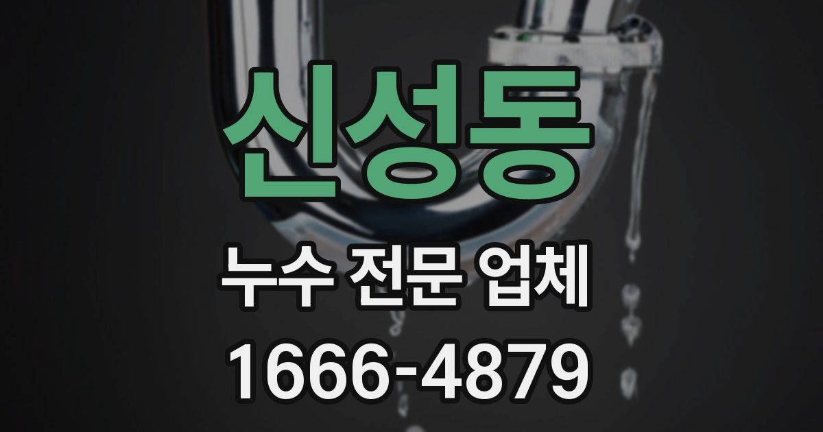 신성동 누수 전문 업체