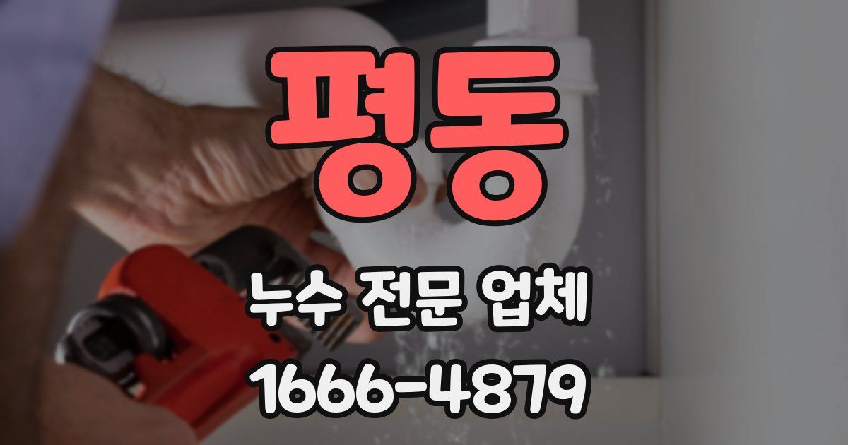 평동 누수 전문 업체