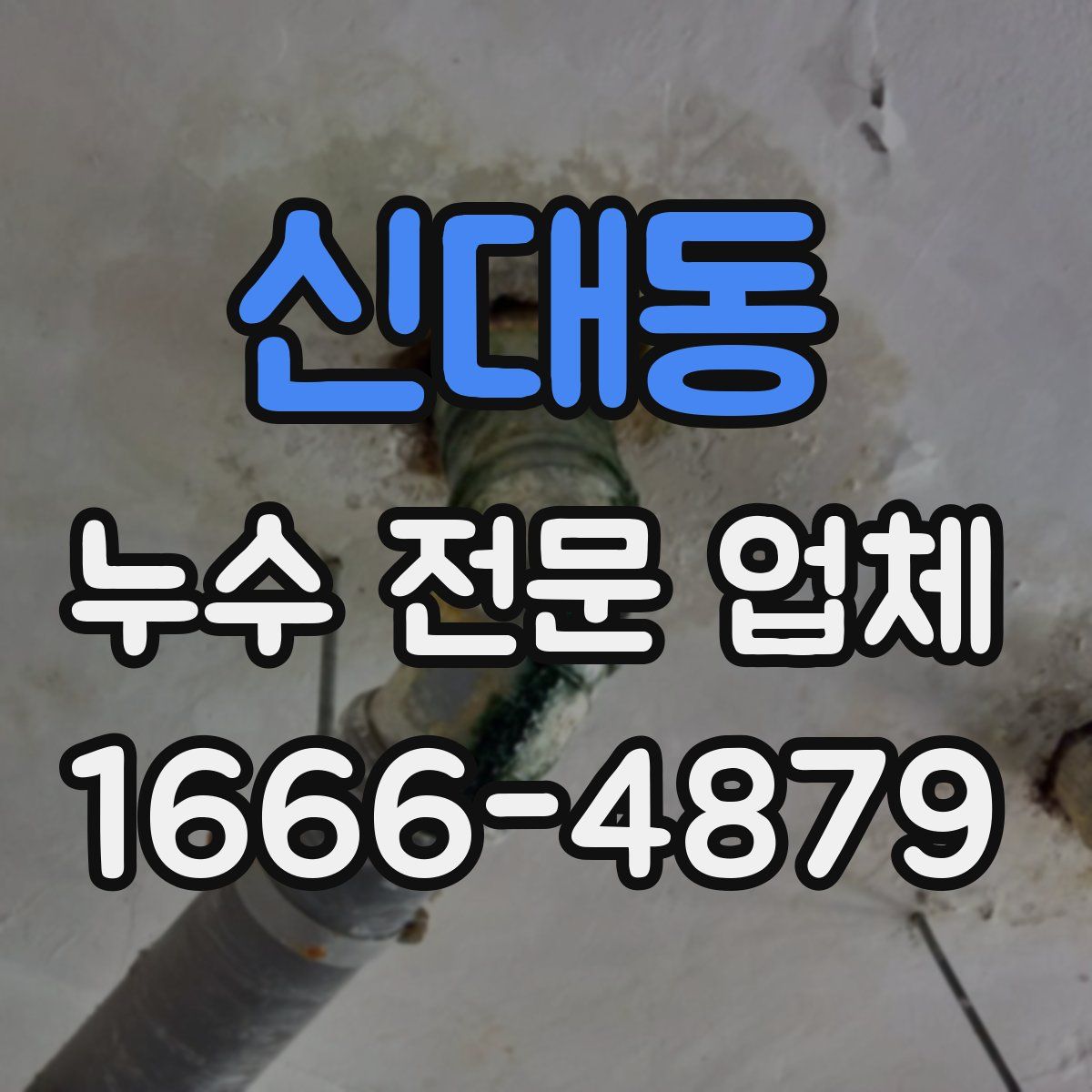 신대동 누수 전문 업체