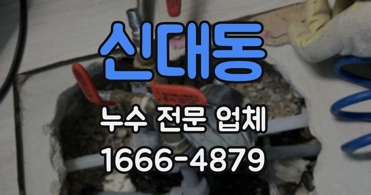 신대동 누수 전문 업체