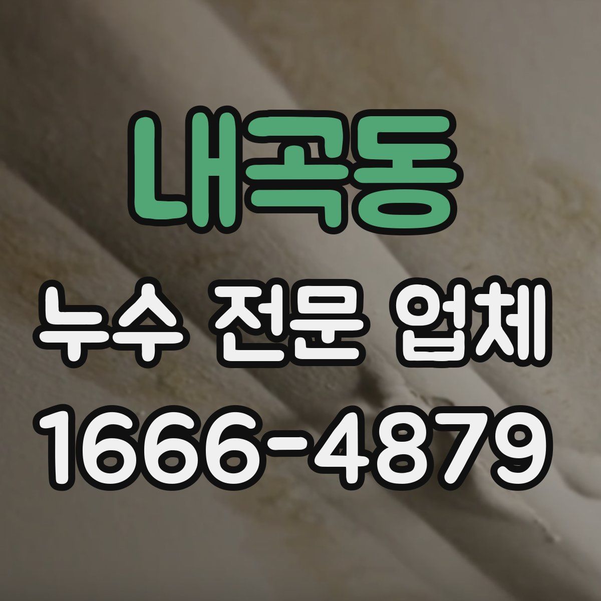 내곡동 누수 전문 업체