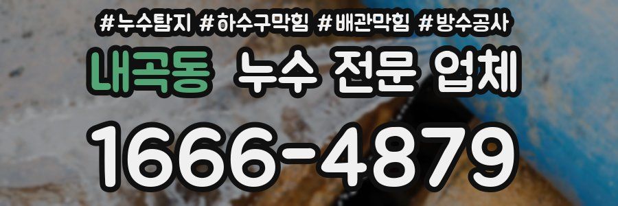 내곡동 누수 전문 업체