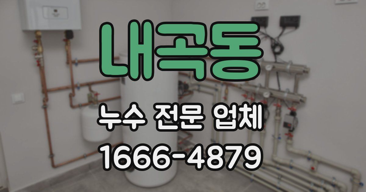 내곡동 누수 전문 업체