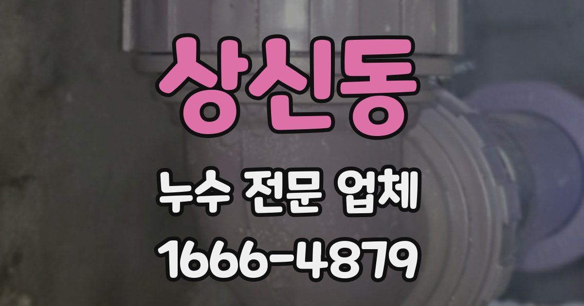 상신동 누수 전문 업체