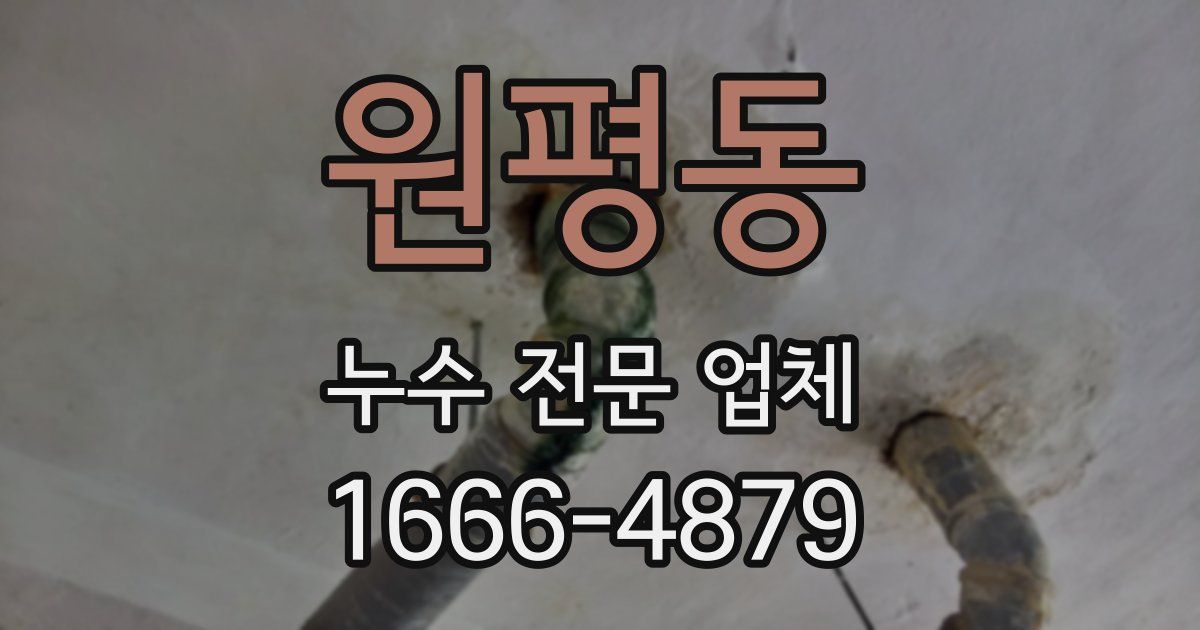 원평동 누수 전문 업체