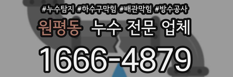 원평동 누수 전문 업체