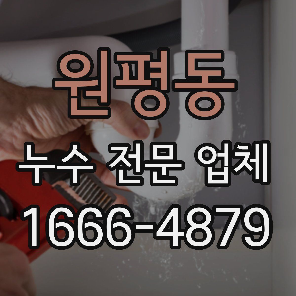 원평동 누수 전문 업체