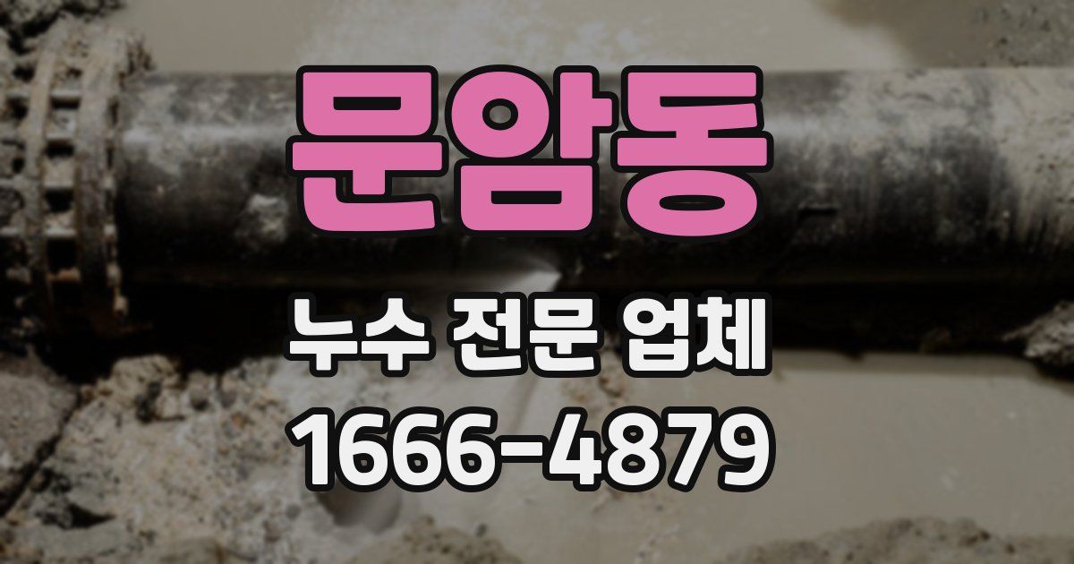 문암동 누수 전문 업체
