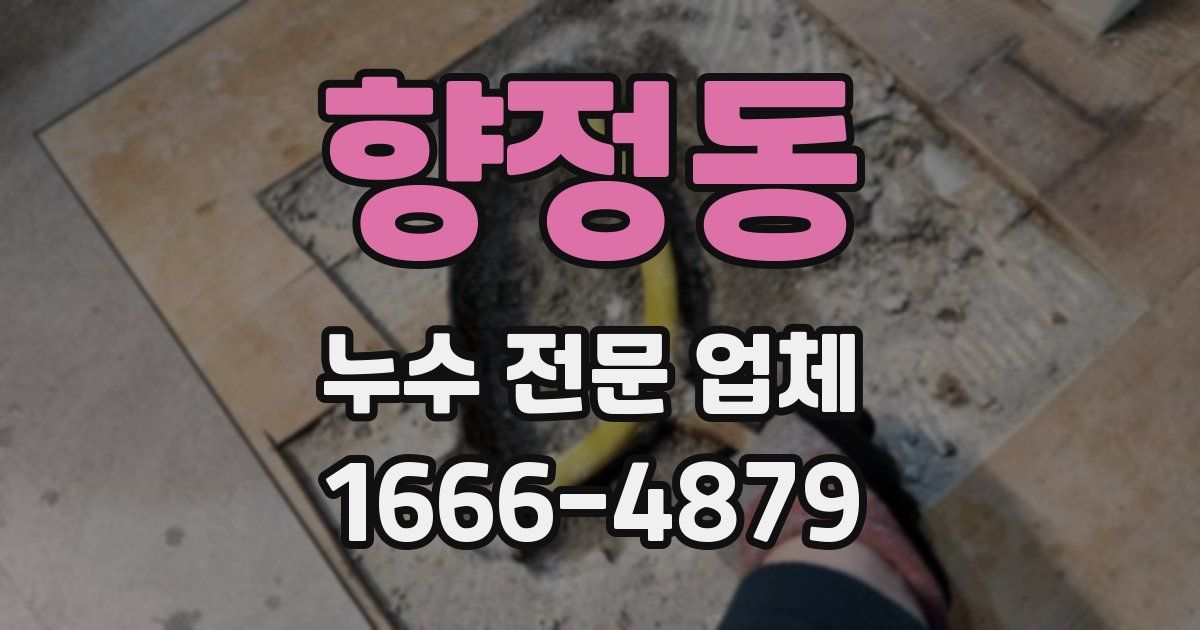 향정동 누수 전문 업체