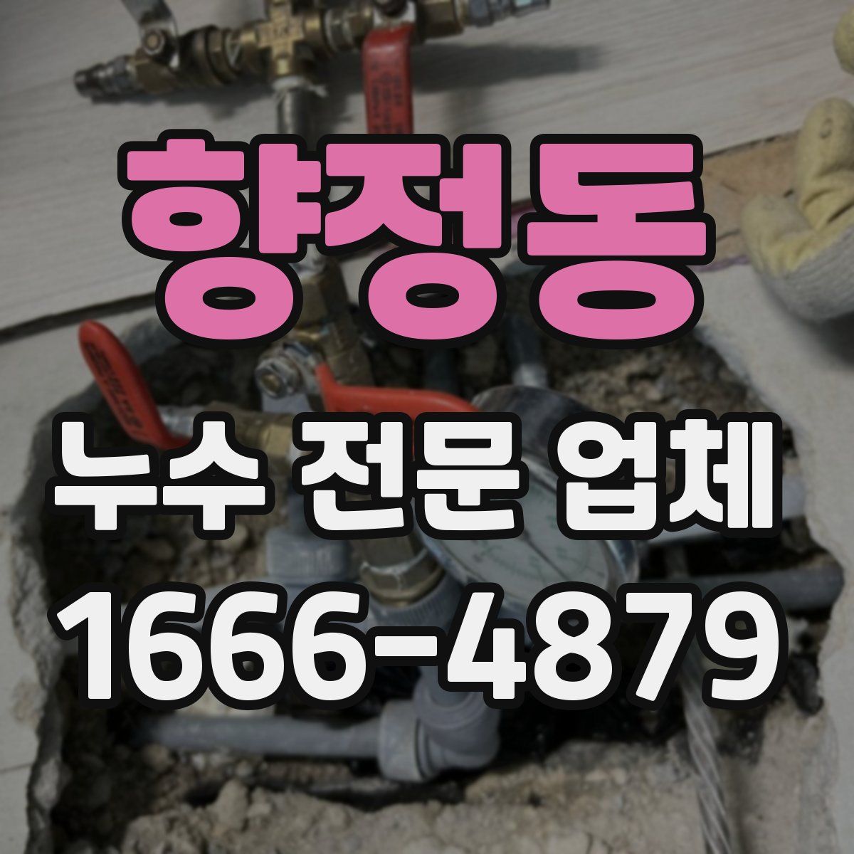향정동 누수 전문 업체