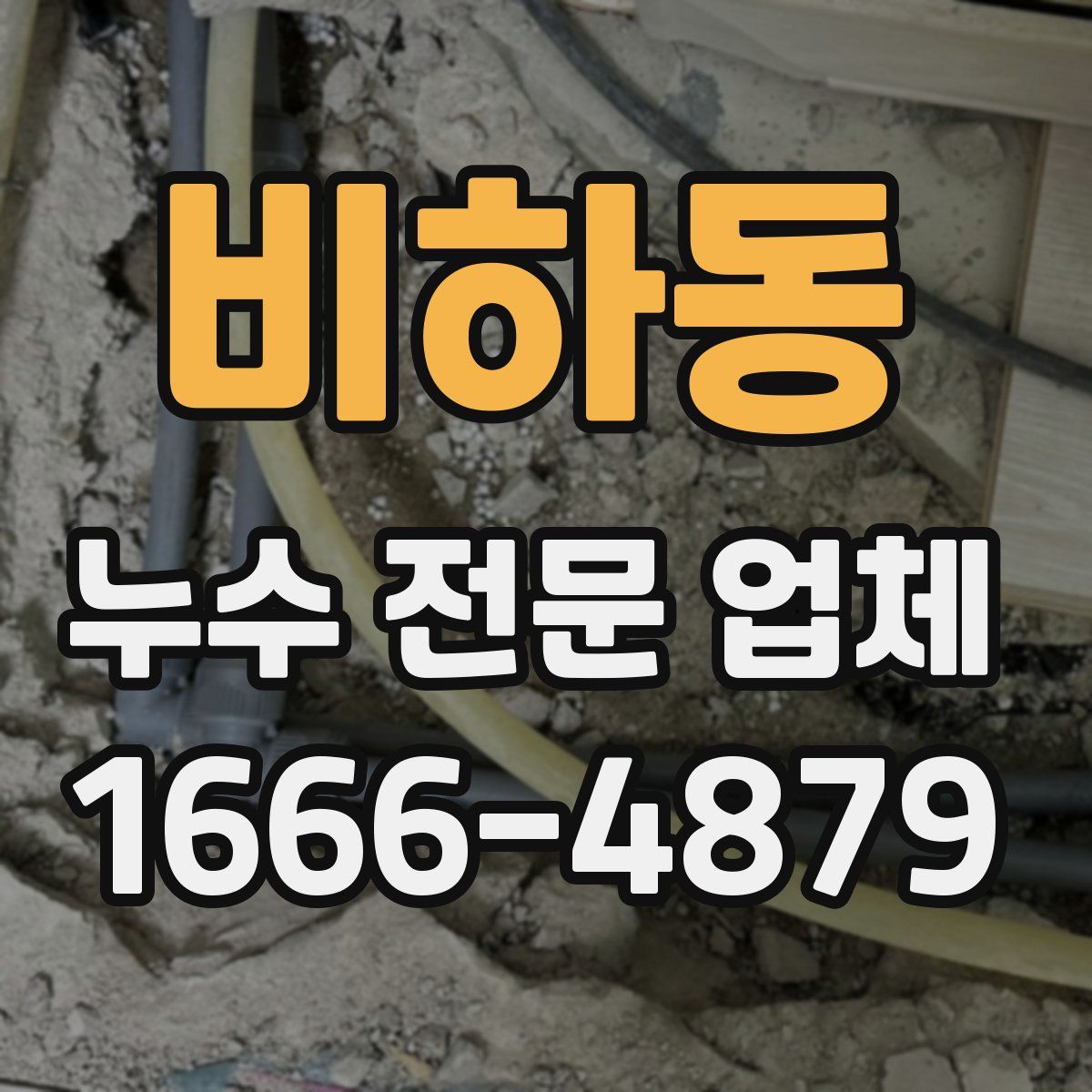 비하동 누수 전문 업체
