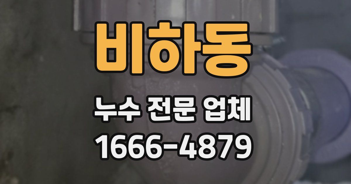 비하동 누수 전문 업체