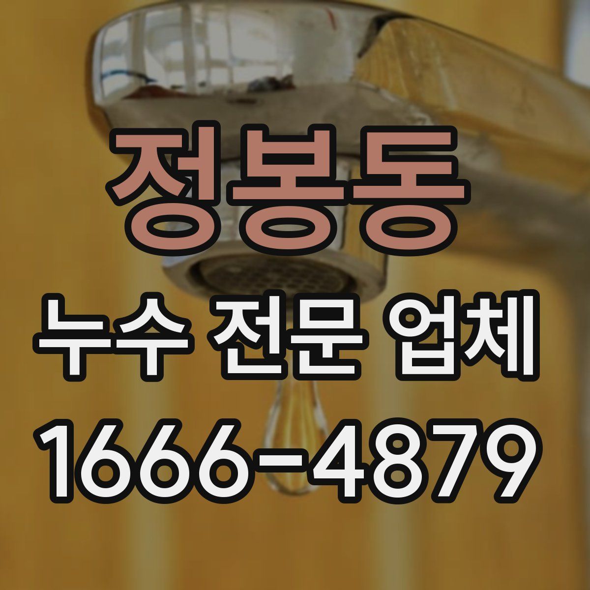 정봉동 누수 전문 업체