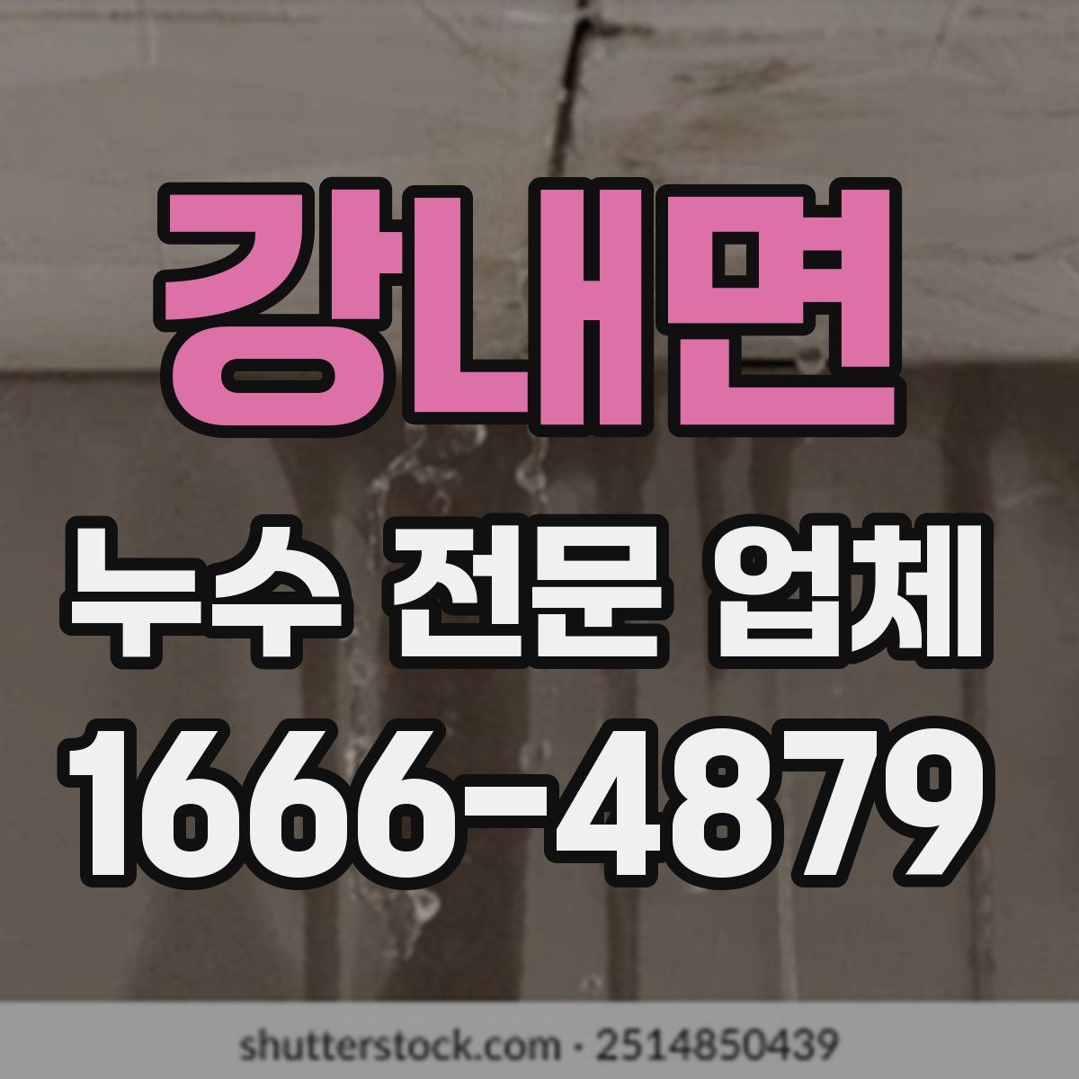 강내면 누수 전문 업체