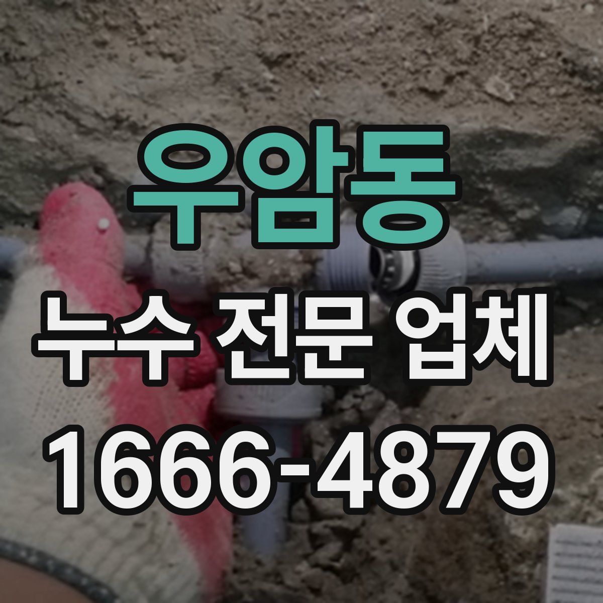 우암동 누수 전문 업체