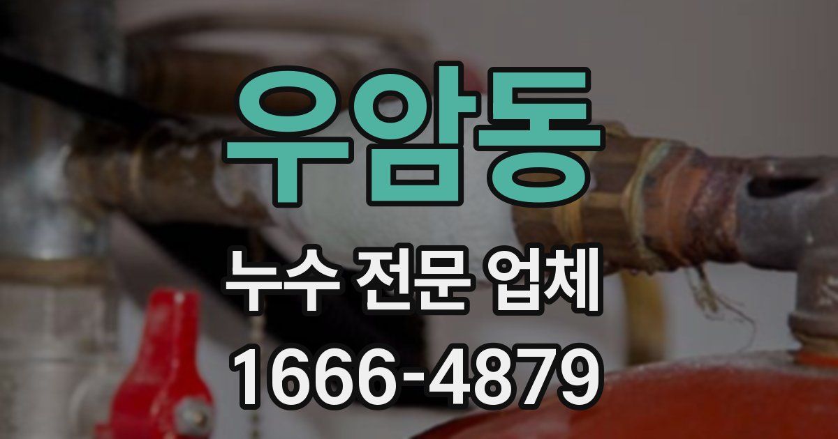 우암동 누수 전문 업체