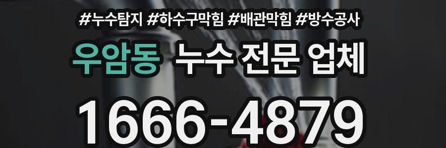 우암동 누수 전문 업체