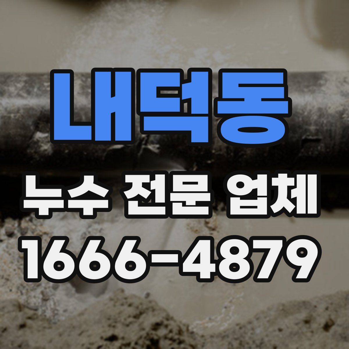 내덕동 누수 전문 업체