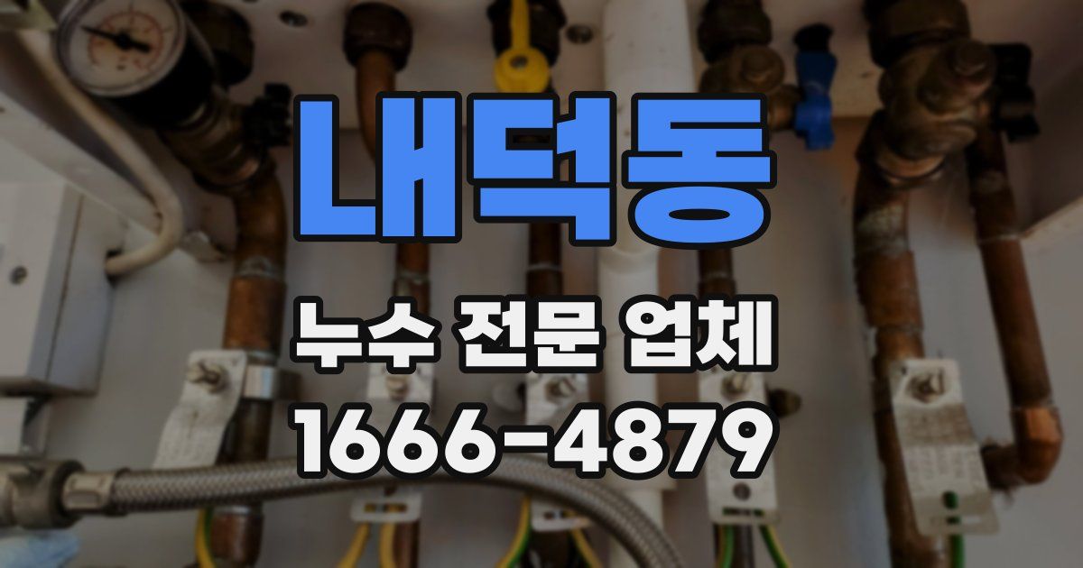 내덕동 누수 전문 업체