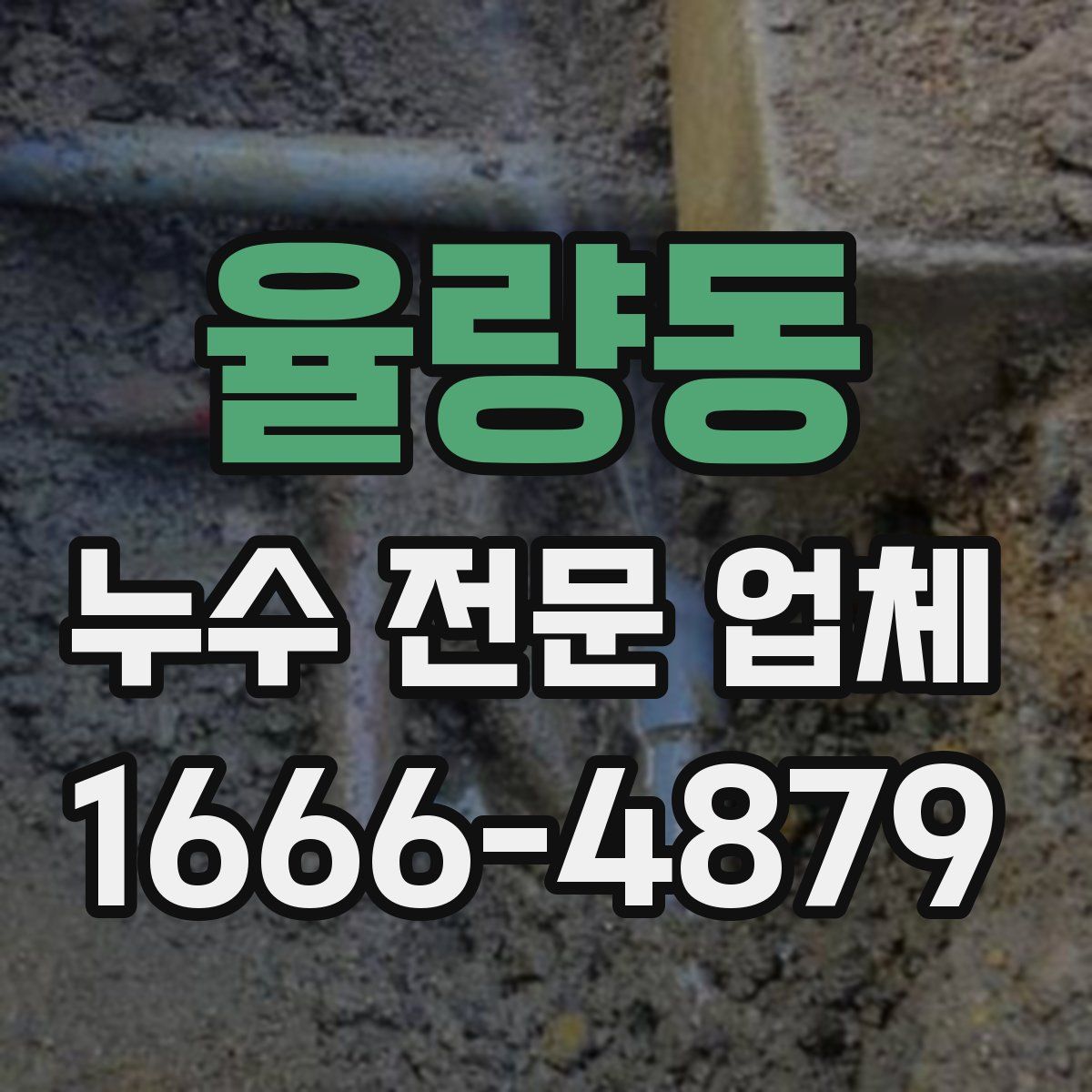율량동 누수 전문 업체