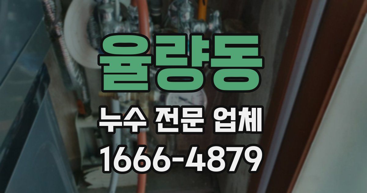 율량동 누수 전문 업체