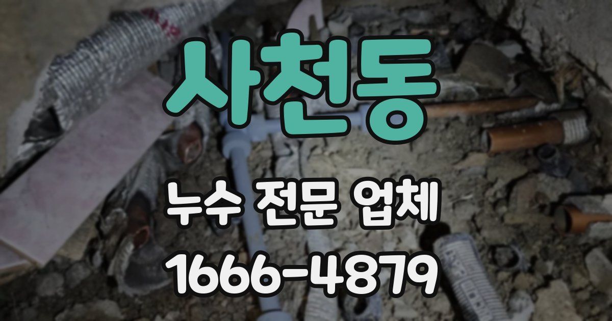 사천동 누수 전문 업체