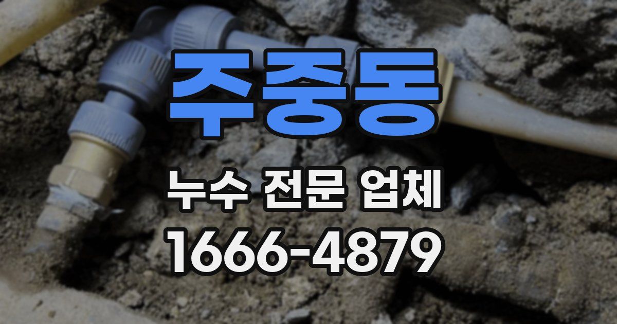 주중동 누수 전문 업체