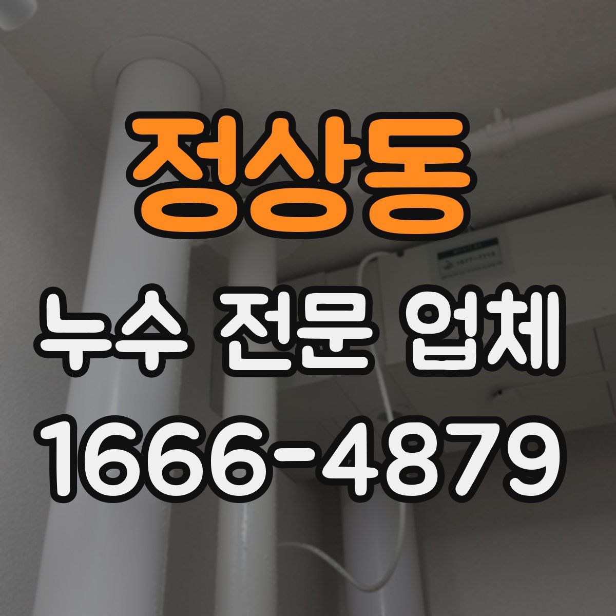 정상동 누수 전문 업체