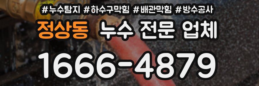정상동 누수 전문 업체