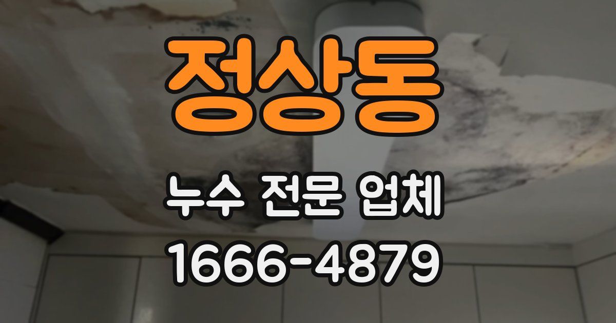 정상동 누수 전문 업체
