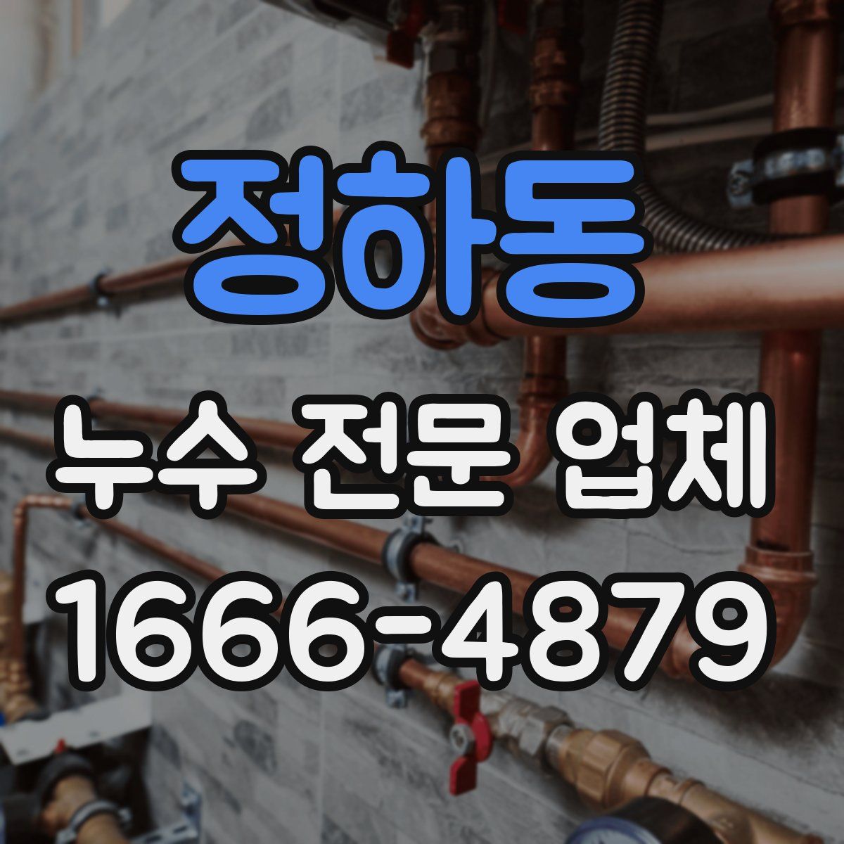 정하동 누수 전문 업체