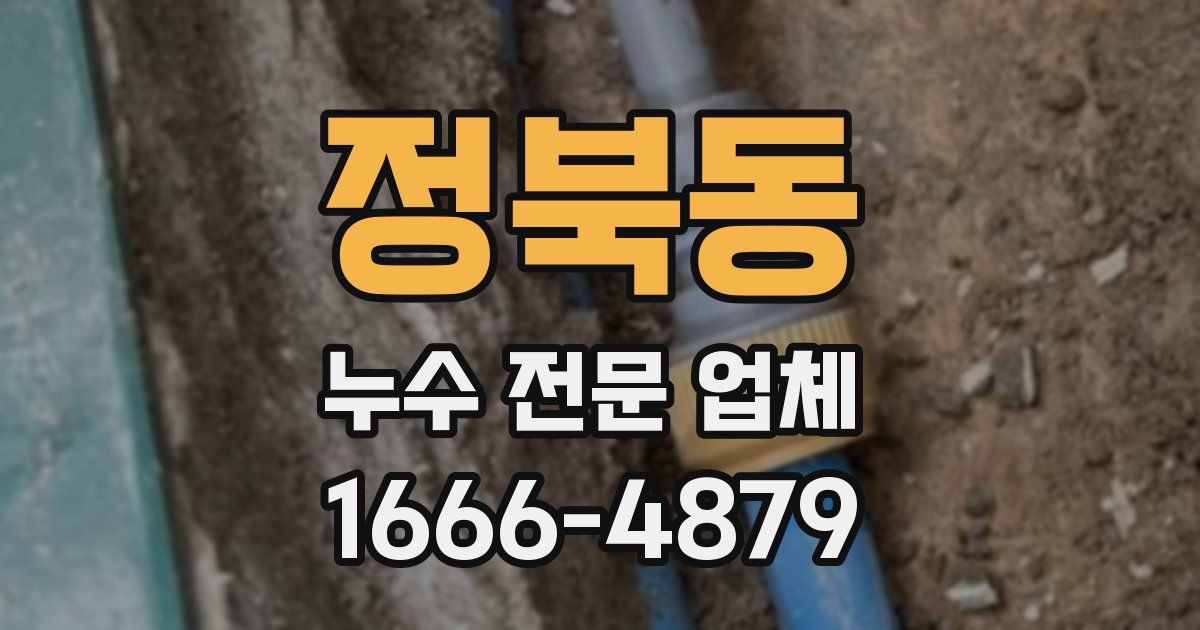 정북동 누수 전문 업체