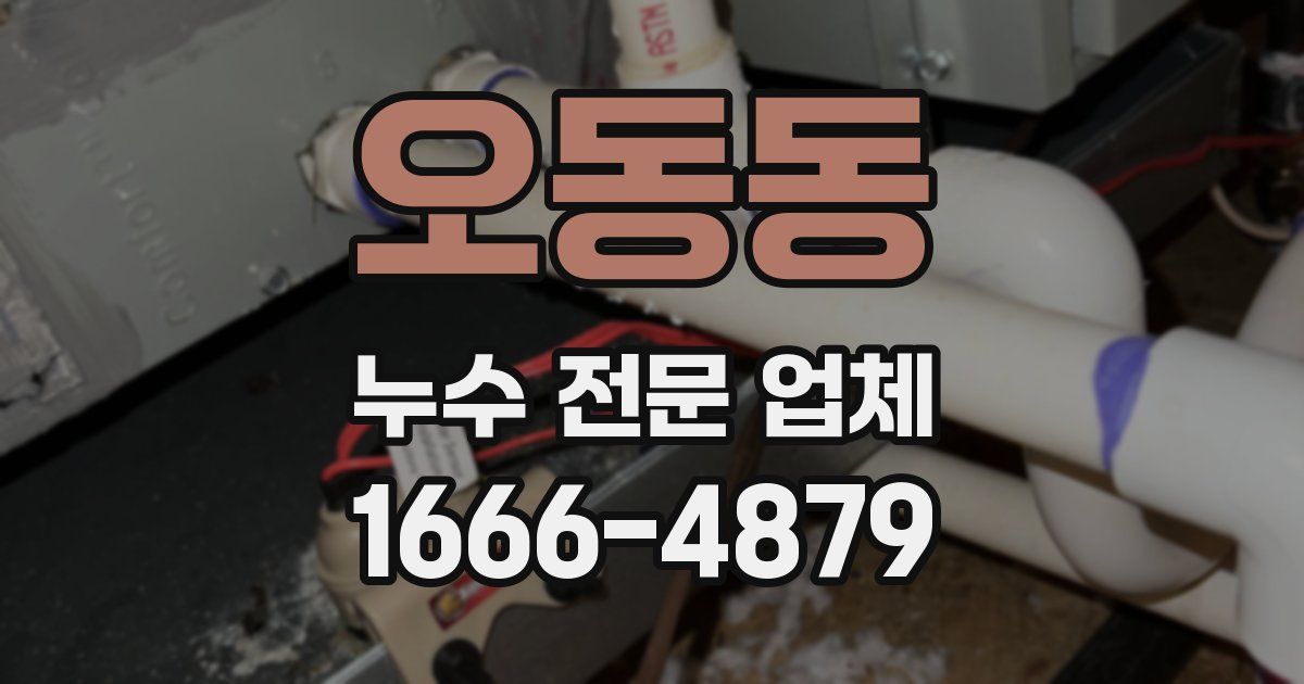 오동동 누수 전문 업체