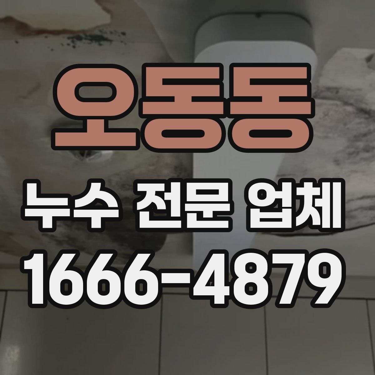 오동동 누수 전문 업체