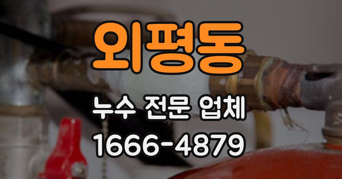 외평동 누수 전문 업체