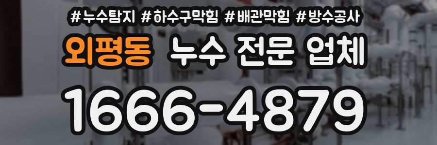 외평동 누수 전문 업체