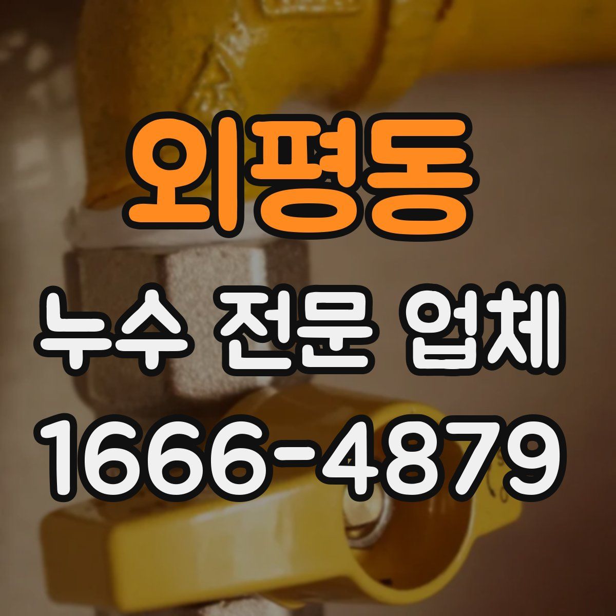 외평동 누수 전문 업체