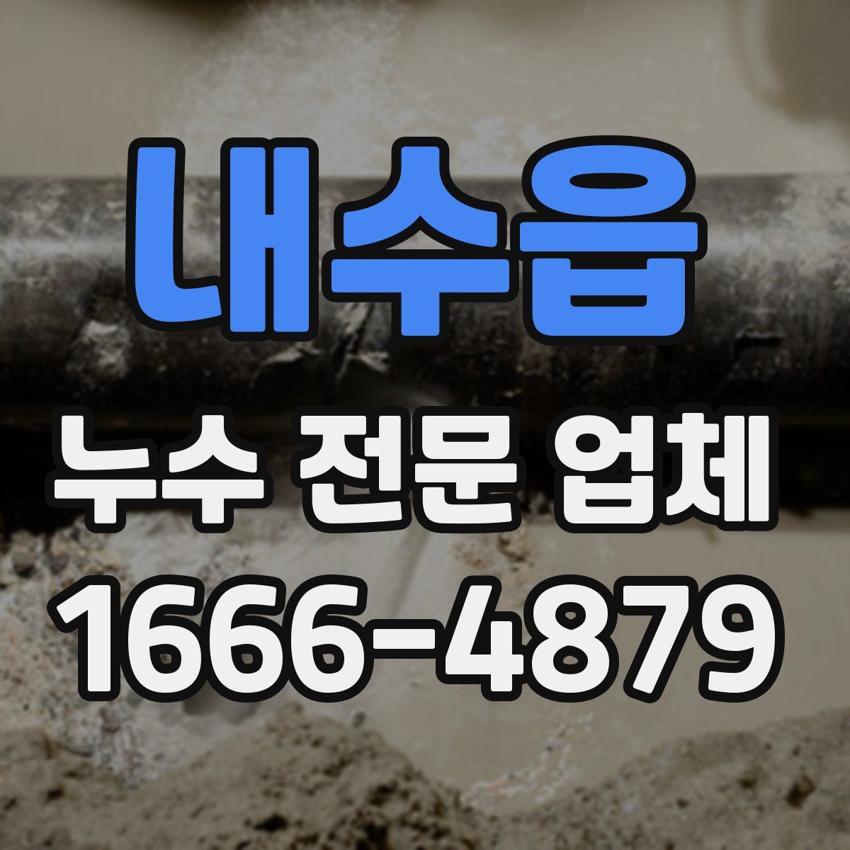 내수읍 누수 전문 업체