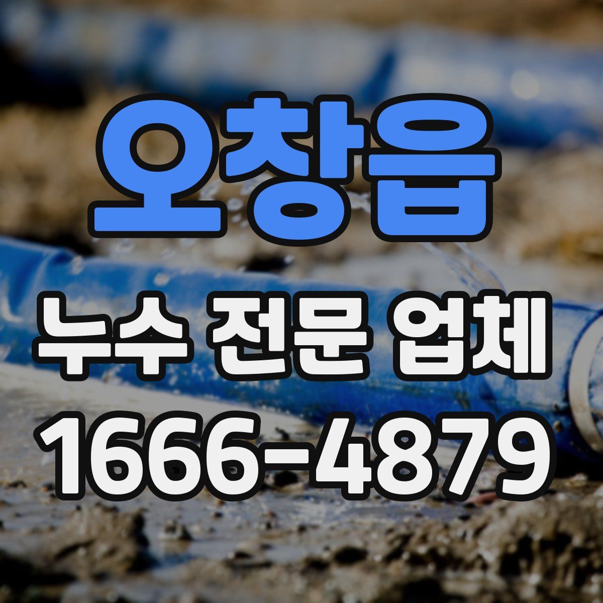 오창읍 누수 전문 업체