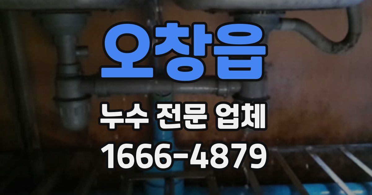 오창읍 누수 전문 업체
