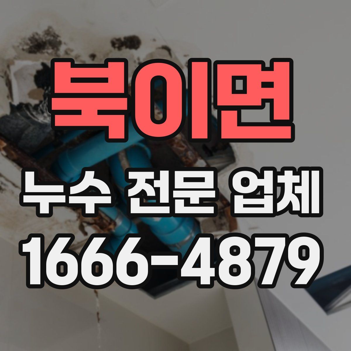 북이면 누수 전문 업체