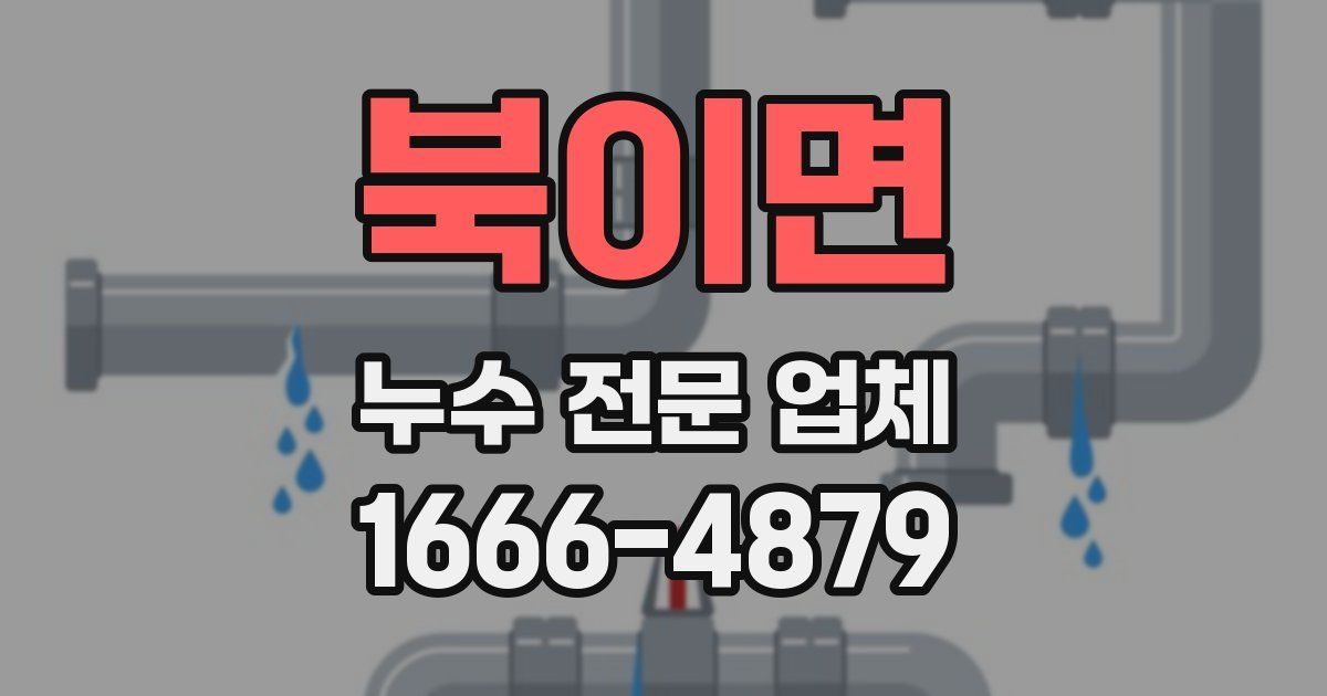 북이면 누수 전문 업체
