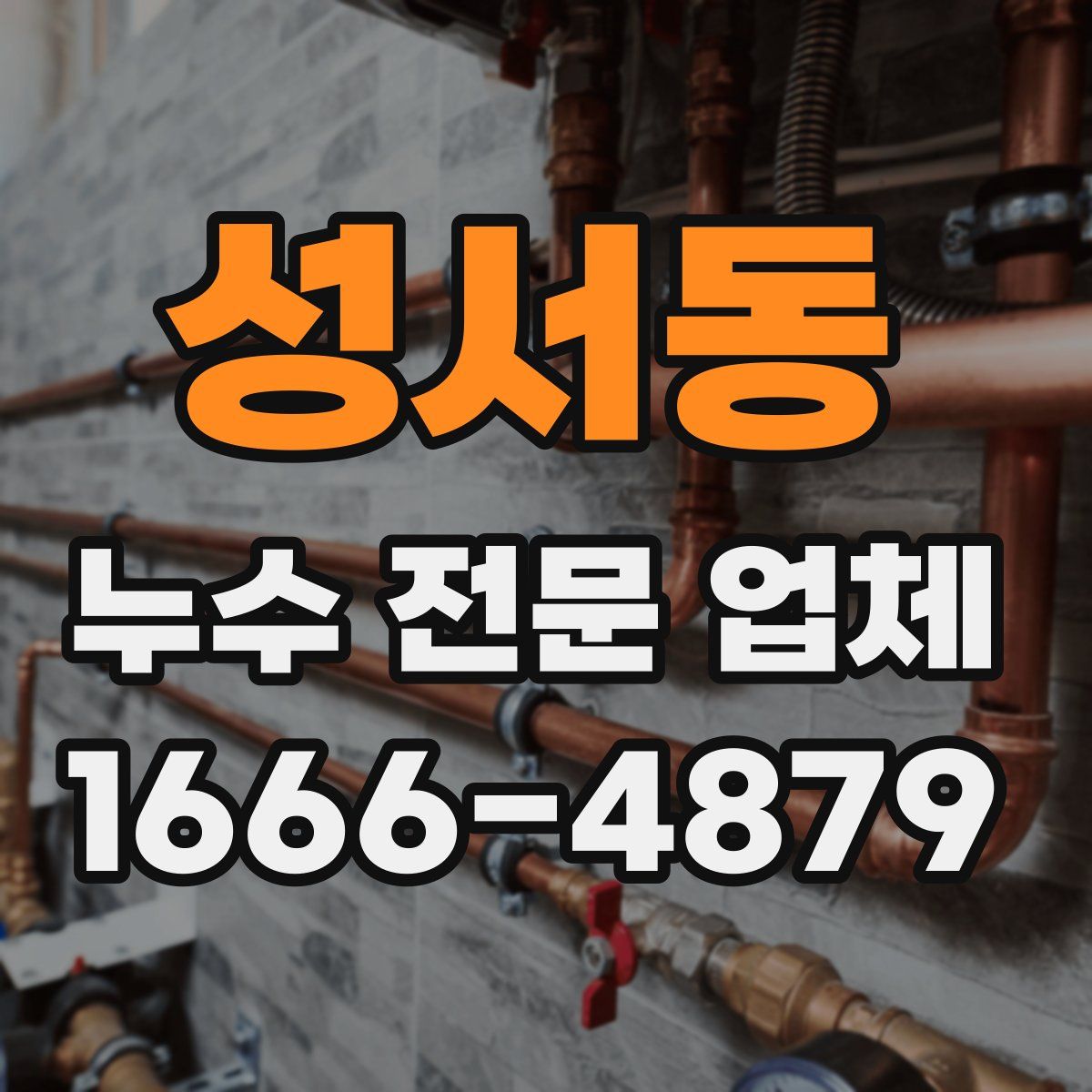 성서동 누수 전문 업체