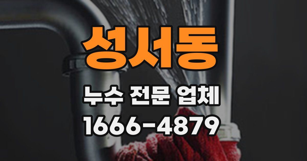 성서동 누수 전문 업체