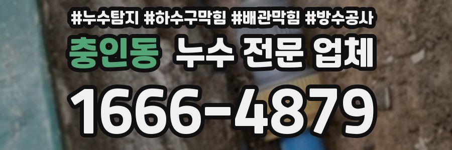 충인동 누수 전문 업체