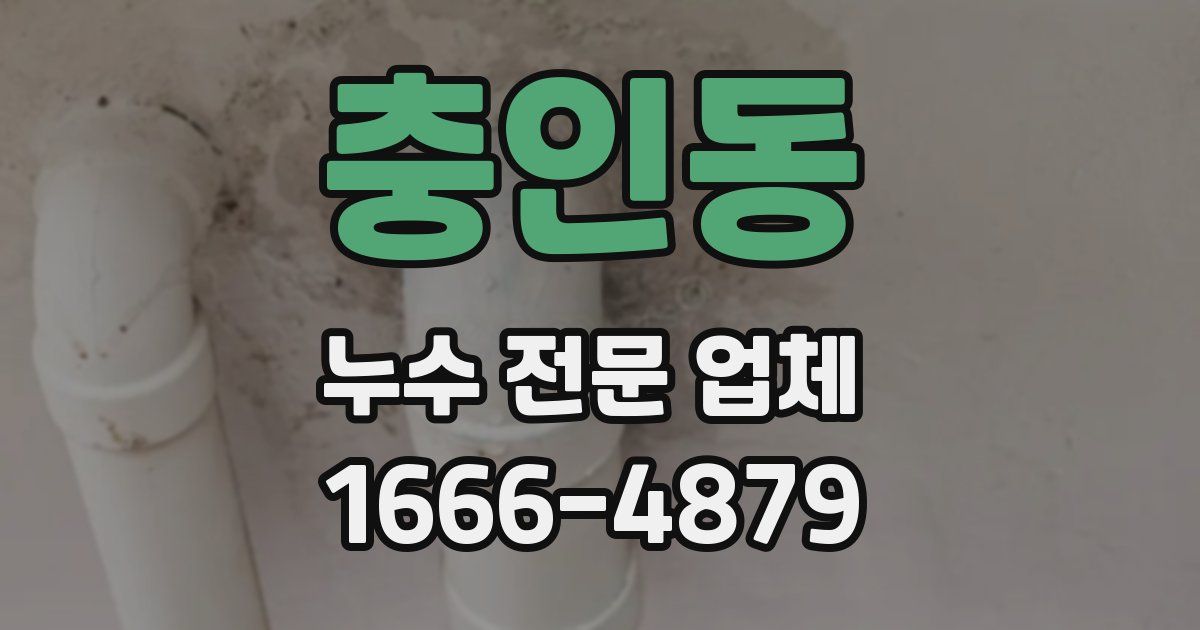 충인동 누수 전문 업체