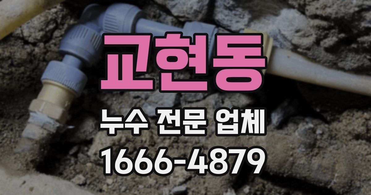 교현동 누수 전문 업체
