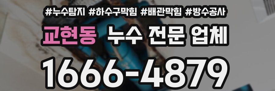 교현동 누수 전문 업체