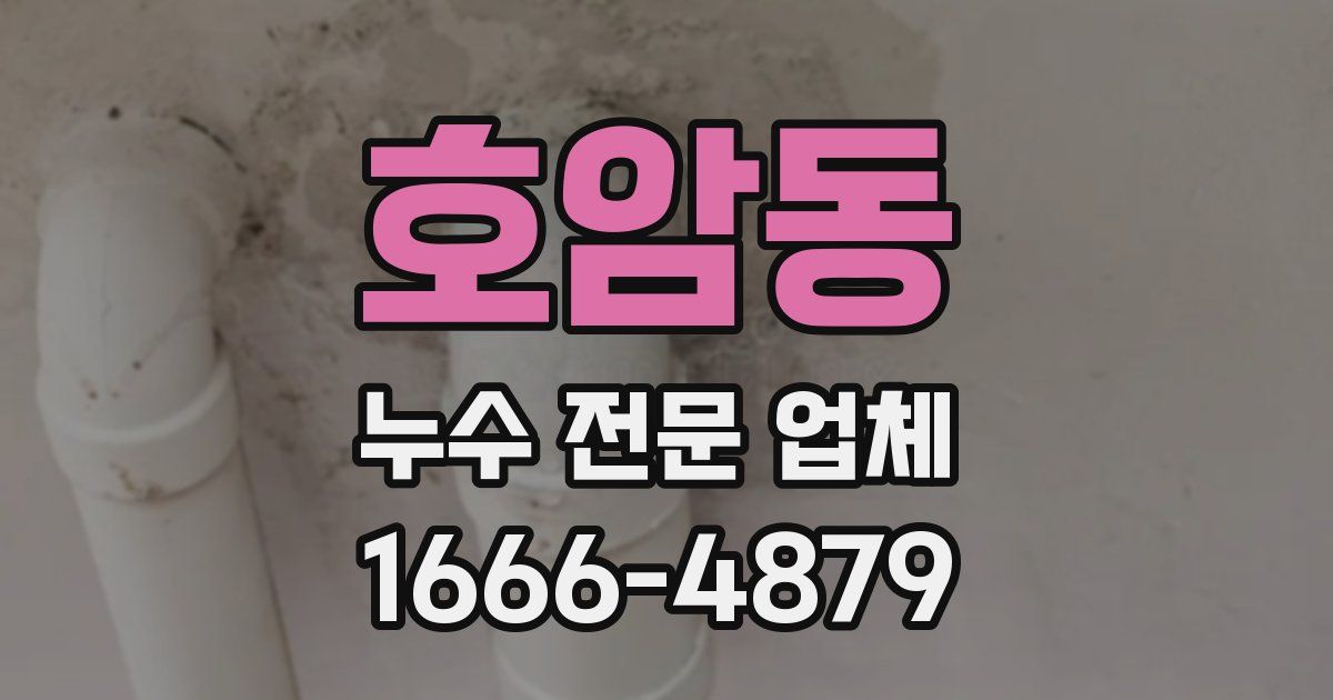 호암동 누수 전문 업체