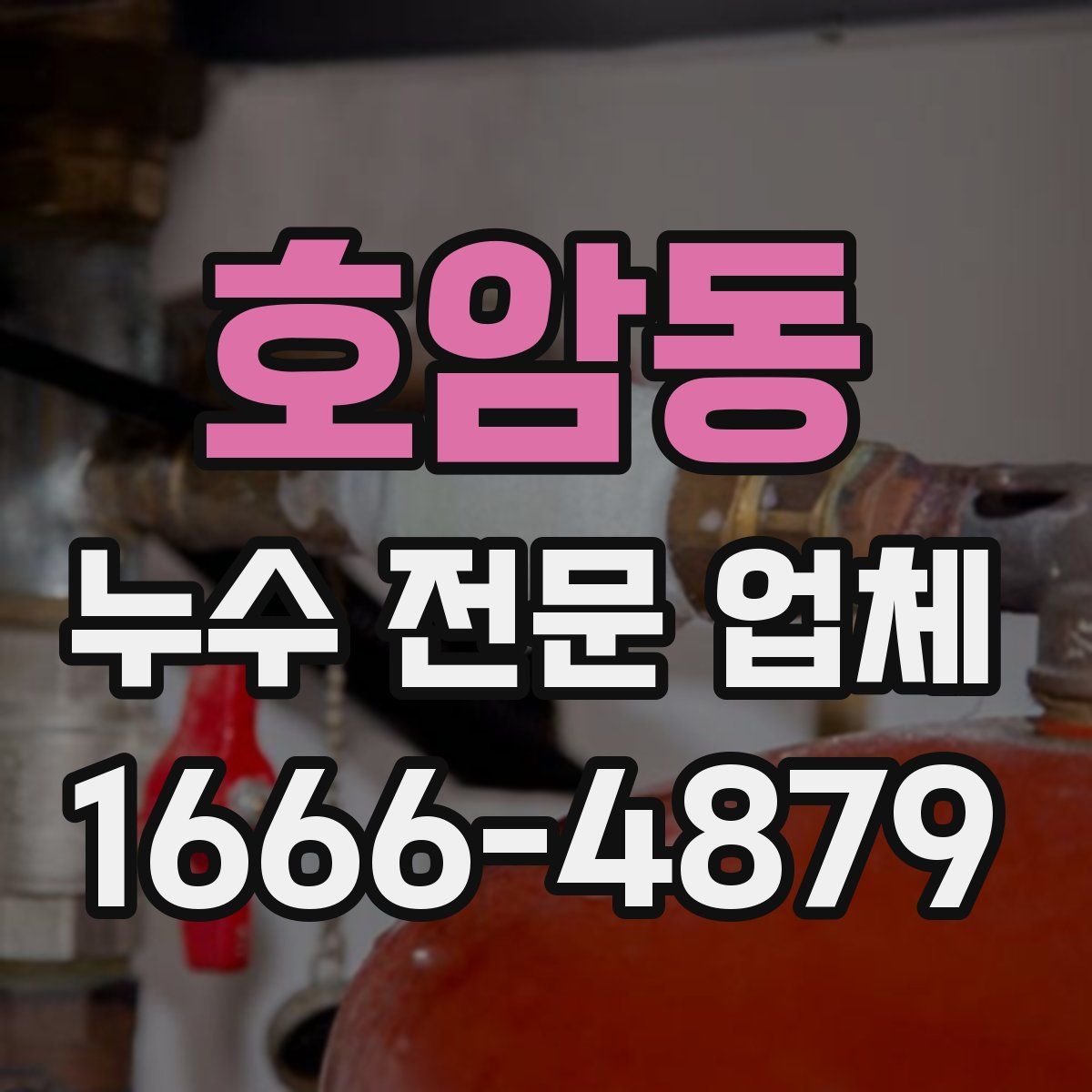 호암동 누수 전문 업체
